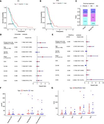 Distinguishable Prognostic Signatures and Tumor Immunogenicity Between Pancreatic Head Cancer and Pancreatic Body/Tail Cancer